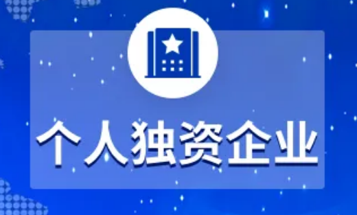 個人獨(dú)資企業(yè)的利與弊應(yīng)如何選擇？
